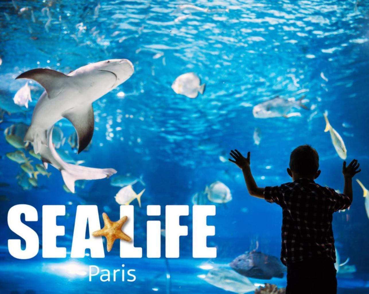 L Eiffel Disney 5Min Paris 35Min Parking Terrasse セリ エクステリア 写真
